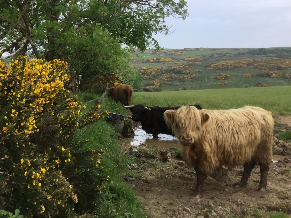 罗撒西Chapelhill Hideaway Isle Of Bute Licence Ar00654F公寓 外观 照片